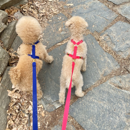 palette leash〈ピンク・レッド系〉