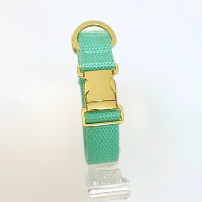 palette collar〈ソフト＆クリア〉