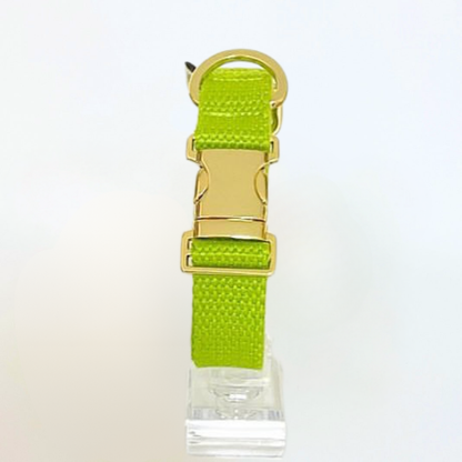 palette collar〈ソフト＆クリア〉