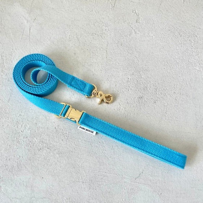 palette leash〈サマー〉