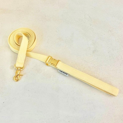 palette leash〈グリーン・ベーシック系〉