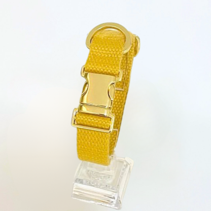 palette collar〈ソフト＆クリア〉