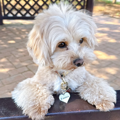 omamori charm – ハート〈ベーシックカラー〉