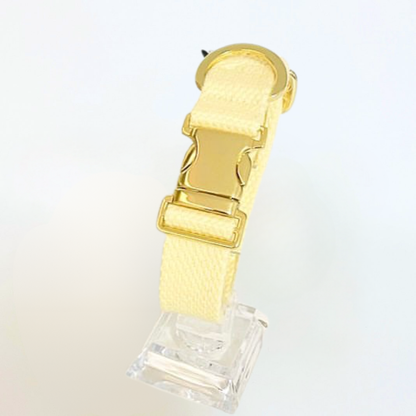 palette collar〈ソフト＆クリア〉