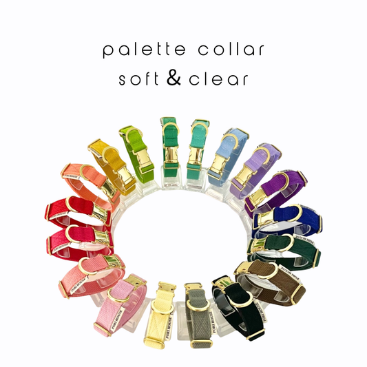 palette collar〈ソフト＆クリア〉
