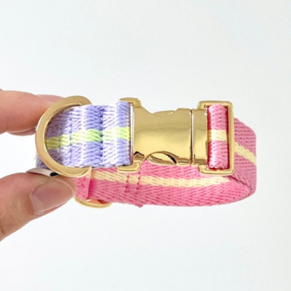 lollipop collar〈ツートーン〉