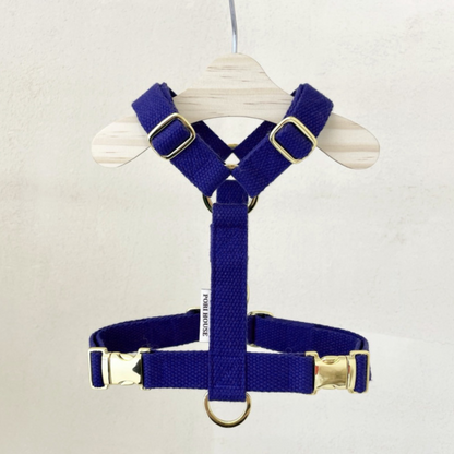 palette harness〈ソフト＆クリア〉