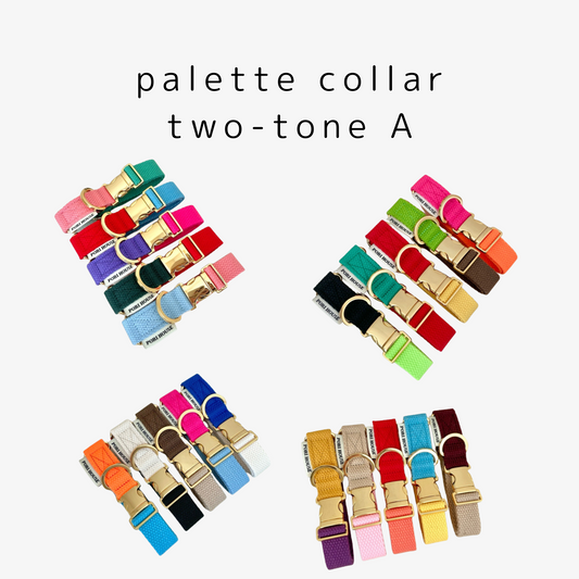 palette collar〈ツートーンA〉