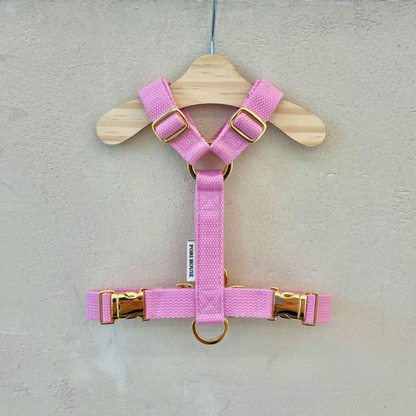 palette harness〈ソフト＆クリア〉