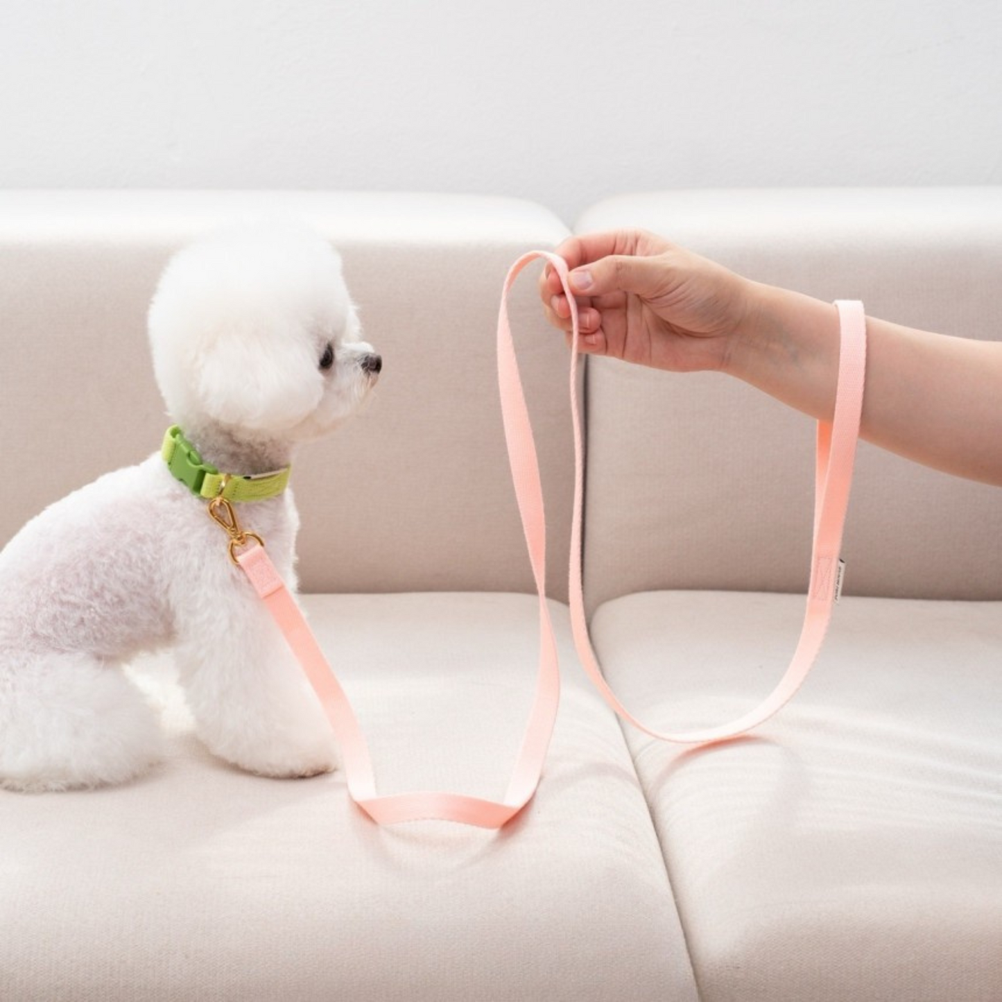 petit leash