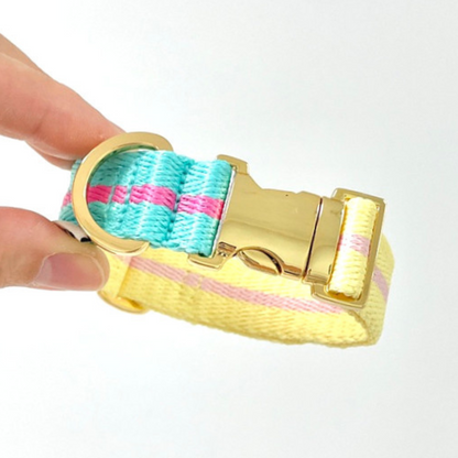 lollipop collar〈ツートーン〉