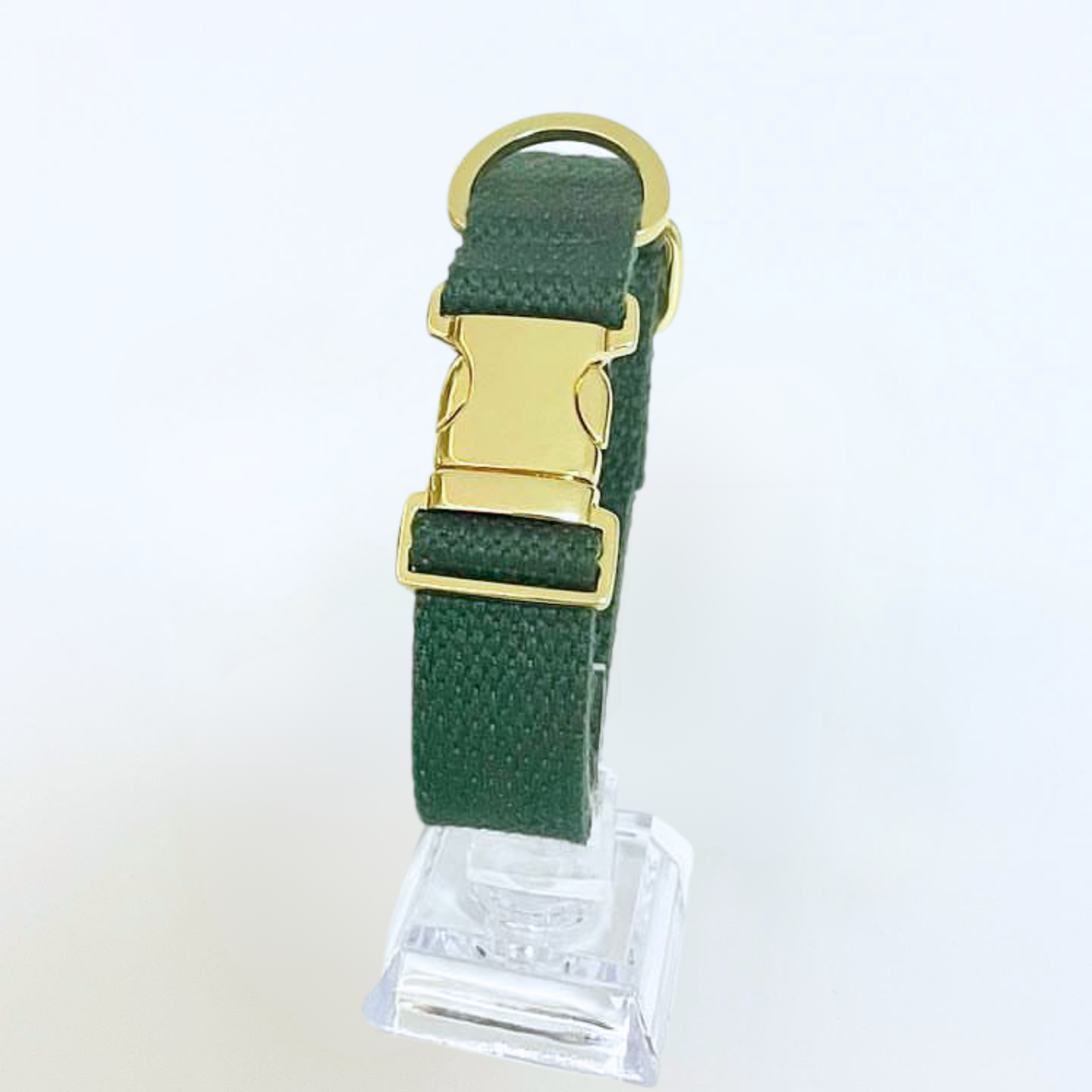 palette collar〈ソフト＆クリア〉
