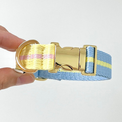 lollipop collar〈ツートーン〉