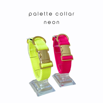 palette collar〈ネオン〉