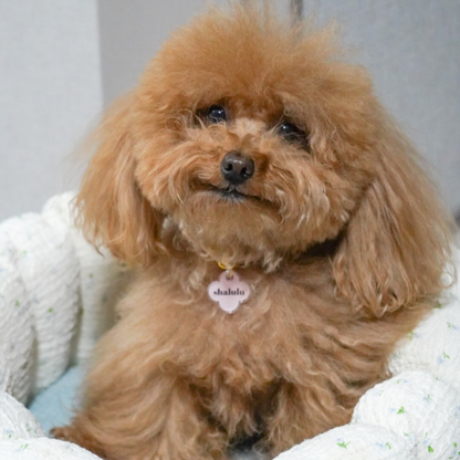 omamori charm – フラワー〈ペールカラー〉