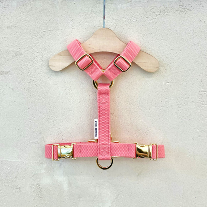 palette harness〈ソフト＆クリア〉