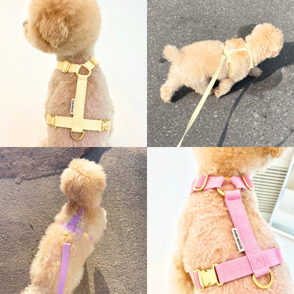 palette harness〈ソフト＆クリア〉