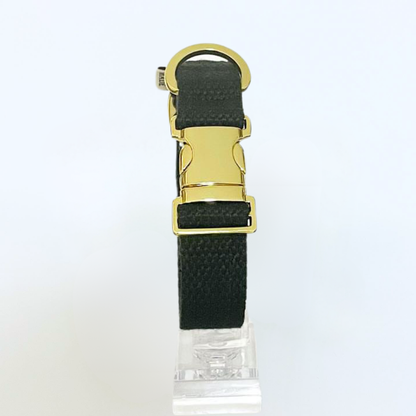 palette collar〈ソフト＆クリア〉