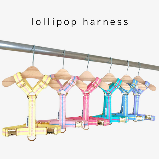 lollipop harness