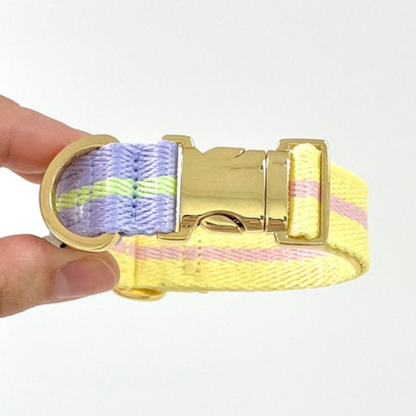 lollipop collar〈ツートーン〉