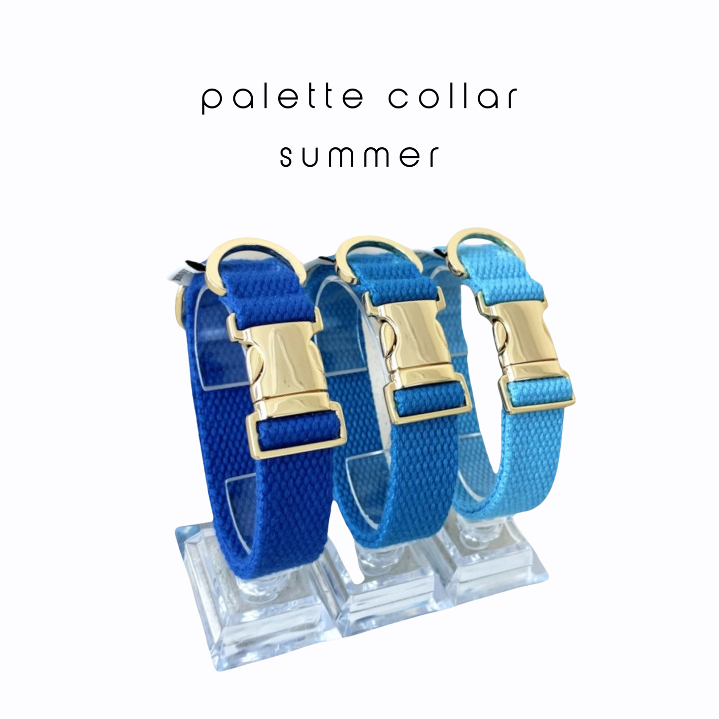palette collar〈サマー〉