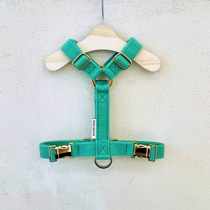 palette harness〈ソフト＆クリア〉