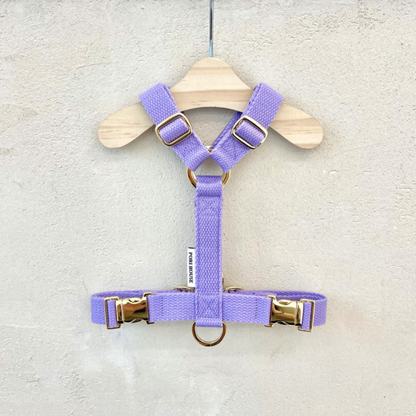 palette harness〈ソフト＆クリア〉
