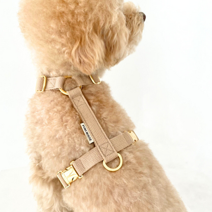 palette harness〈ウォーム〉