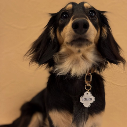 omamori charm – フラワー〈ベーシックカラー〉