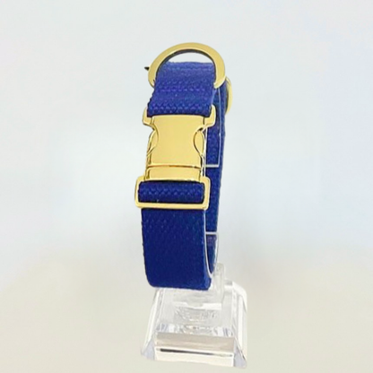 palette collar〈ソフト＆クリア〉