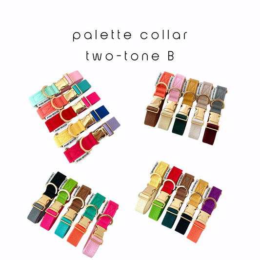 palette collar〈ツートーンB〉