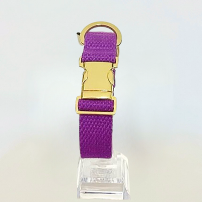 palette collar〈ソフト＆クリア〉