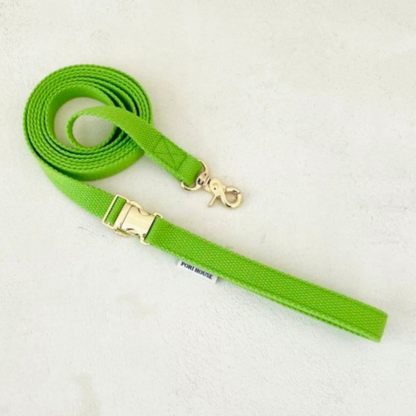 palette leash〈グリーン・ベーシック系〉