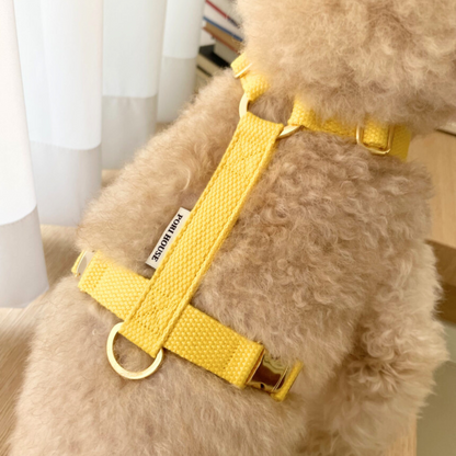 palette harness〈ウォーム〉