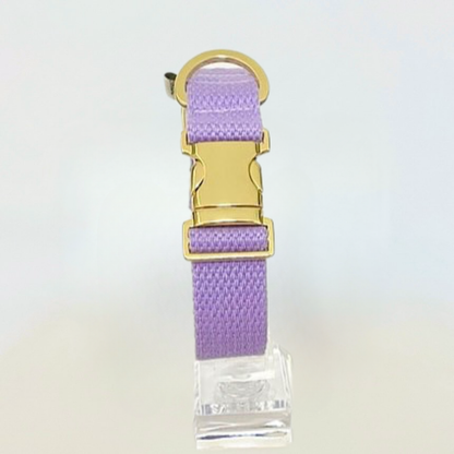 palette collar〈ソフト＆クリア〉