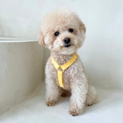 palette harness〈ウォーム〉