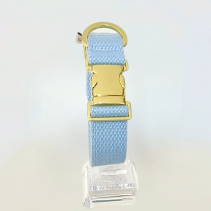 palette collar〈ソフト＆クリア〉