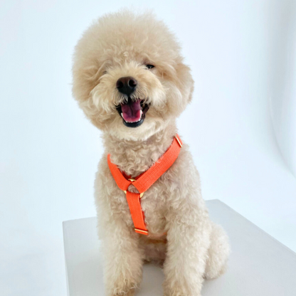 palette harness〈ウォーム〉