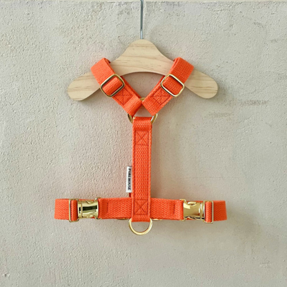 palette harness〈ウォーム〉