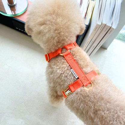 palette harness〈ウォーム〉