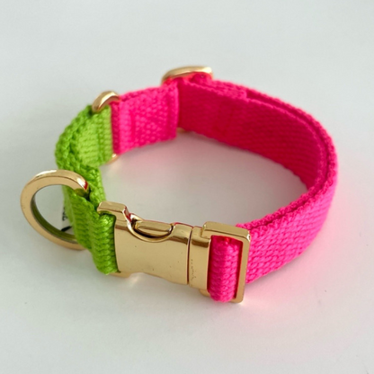 palette collar〈ツートーンB〉