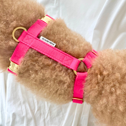 palette harness〈ネオン〉