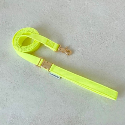 palette leash〈ネオン〉