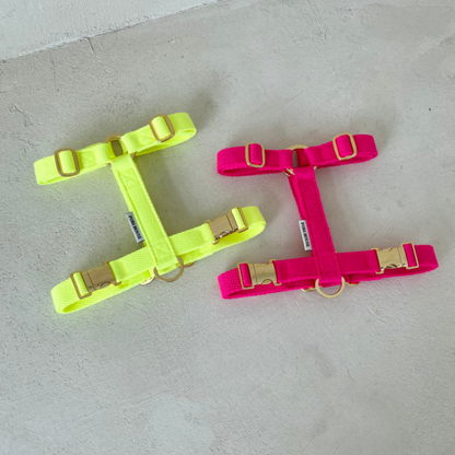 palette harness〈ネオン〉