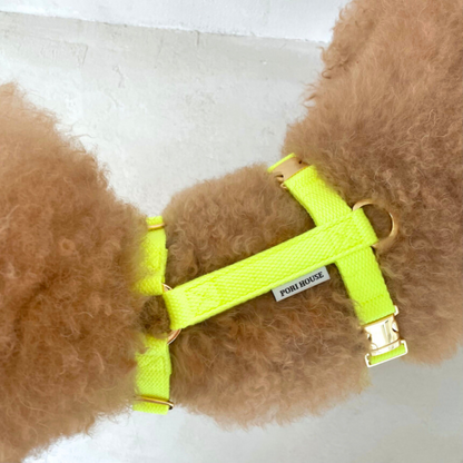 palette harness〈ネオン〉