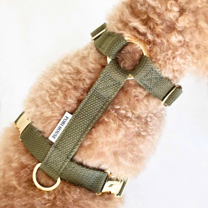 palette harness〈アース〉