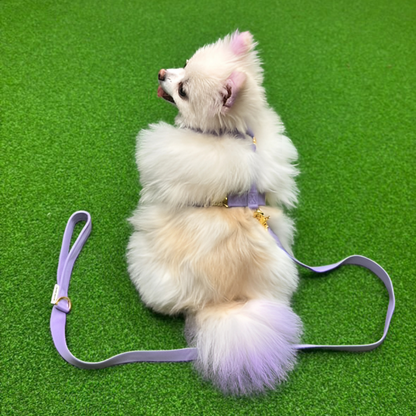 palette leash〈ブルー・パープル系〉