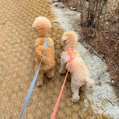 palette leash〈ピンク・レッド系〉