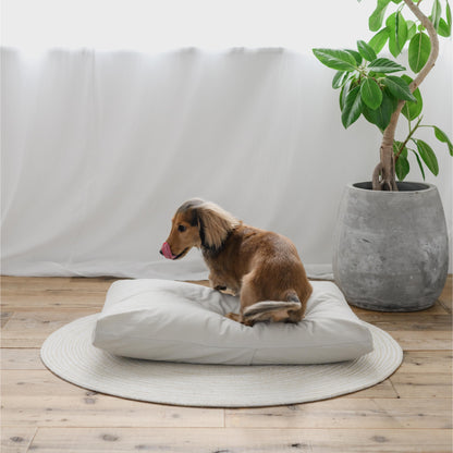 グレージュのペットベッド、リビングのインテリアに調和する落ち着いた色合い