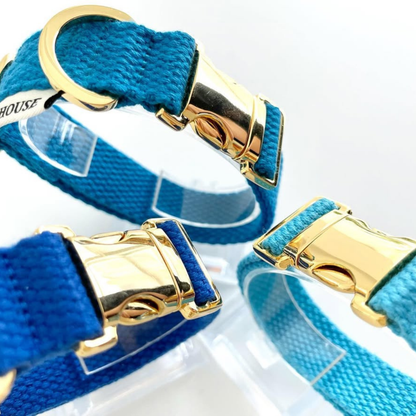 palette collar〈サマー〉